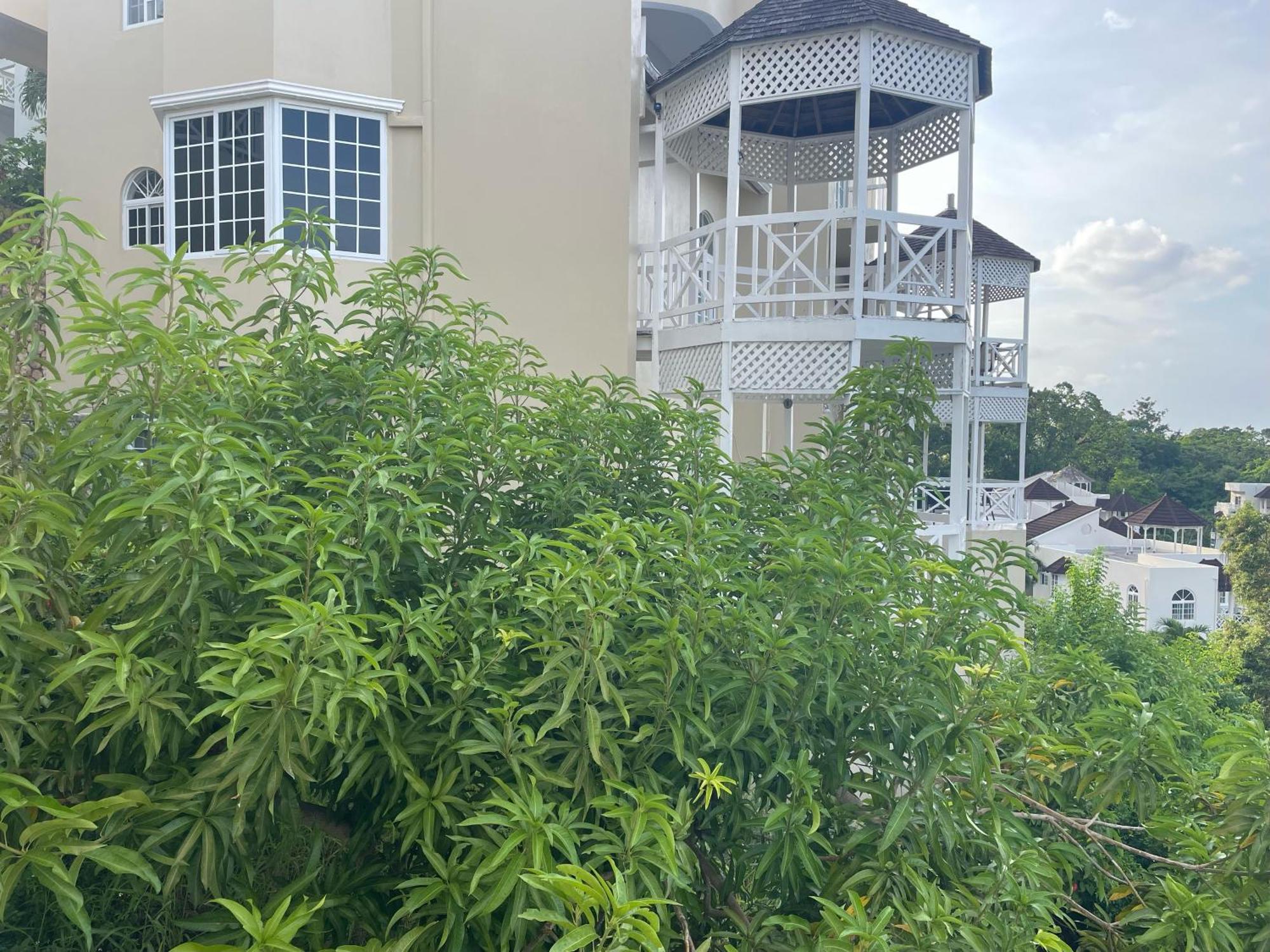 Oceanbreeze Jamaica Penthouse, 7-Minute Walk To Beach โอโชรีโอส ภายนอก รูปภาพ