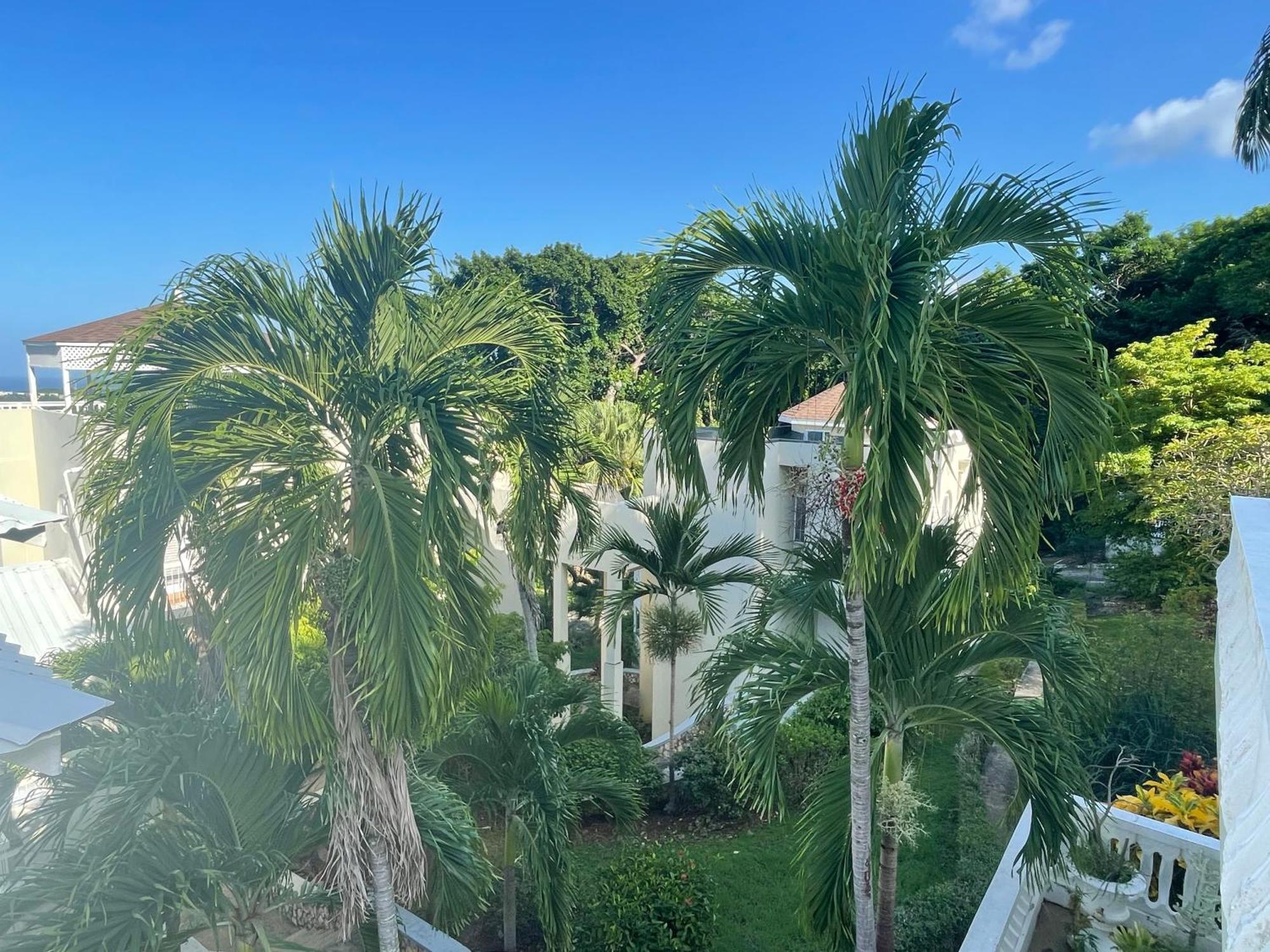 Oceanbreeze Jamaica Penthouse, 7-Minute Walk To Beach โอโชรีโอส ภายนอก รูปภาพ
