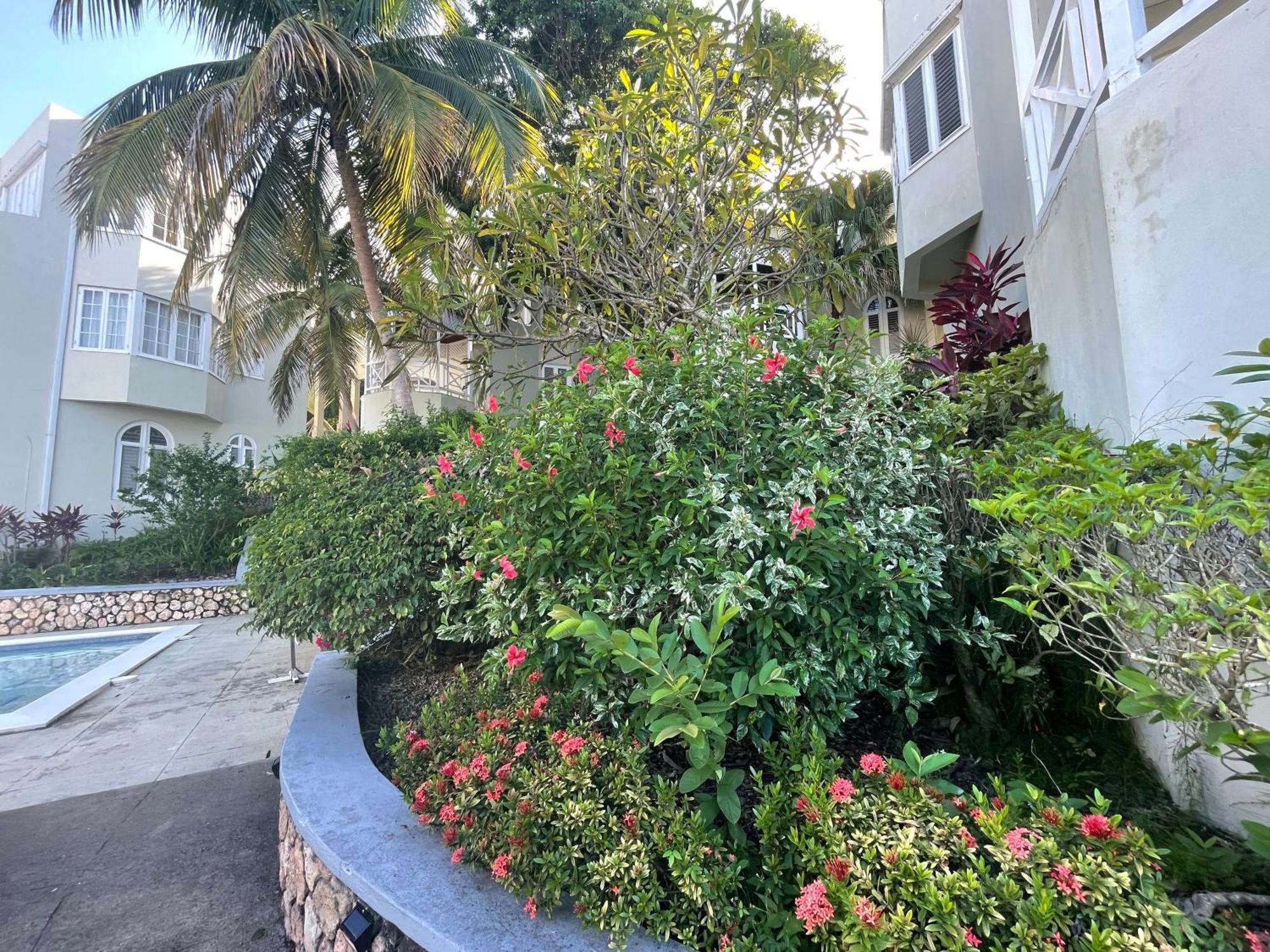Oceanbreeze Jamaica Penthouse, 7-Minute Walk To Beach โอโชรีโอส ภายนอก รูปภาพ
